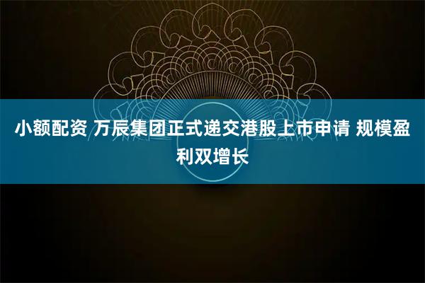 小额配资 万辰集团正式递交港股上市申请 规模盈利双增长
