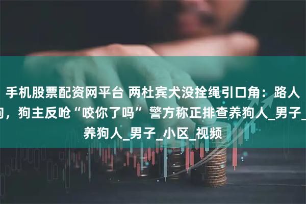 手机股票配资网平台 两杜宾犬没拴绳引口角：路人称要打死狗，狗主反呛“咬你了吗” 警方称正排查养狗人_男子_小区_视频
