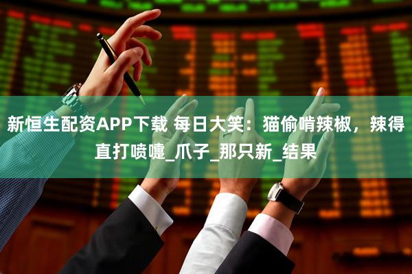 新恒生配资APP下载 每日大笑：猫偷啃辣椒，辣得直打喷嚏_爪子_那只新_结果