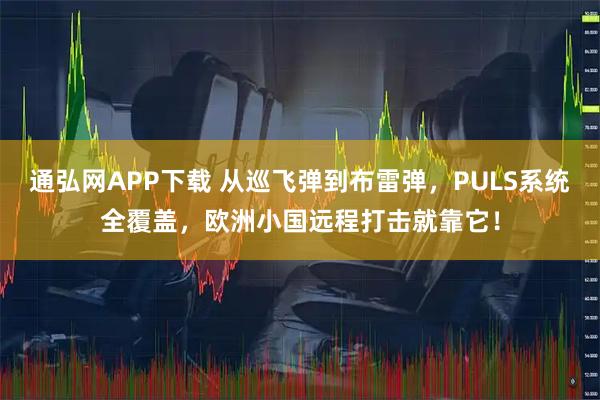 通弘网APP下载 从巡飞弹到布雷弹，PULS系统全覆盖，欧洲小国远程打击就靠它！