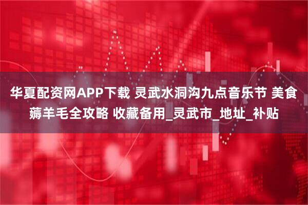 华夏配资网APP下载 灵武水洞沟九点音乐节 美食薅羊毛全攻略 收藏备用_灵武市_地址_补贴